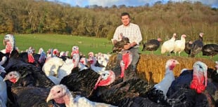 'You're not going to have any farmers' warns Hampshire turkey farmer