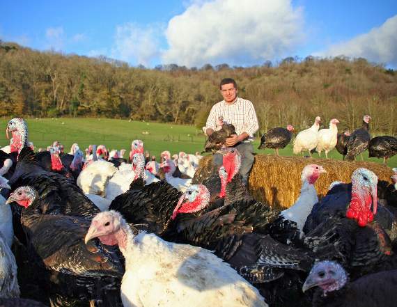 'You're not going to have any farmers' warns Hampshire turkey farmer