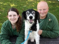 Recognition for joint animal welfare team