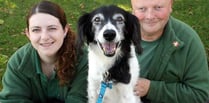 Recognition for joint animal welfare team