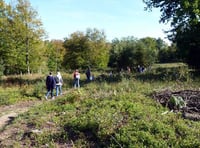 Hampshire and Surrey named top UK destinations for nature walks