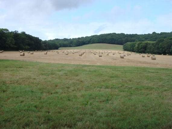 Anger at plan to drive ‘relief road’ through AONB