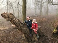 Woodland wonders for nursery youngsters