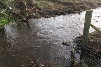 Storm Dennis increases flooding risk in River Wey valley