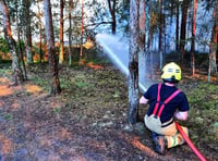 Coronavirus 'outbreak' wipes out 30 per cent of Surrey's fire cover, says union