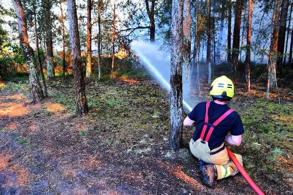 Coronavirus 'outbreak' wipes out 30 per cent of Surrey's fire cover, says union