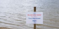 Blue-green algae returns to Frensham Great Pond