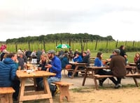 Hogs Back Brewery opens pub garden after successful trial run