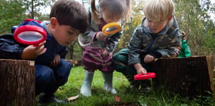 Forest fun on offer at St Ives School