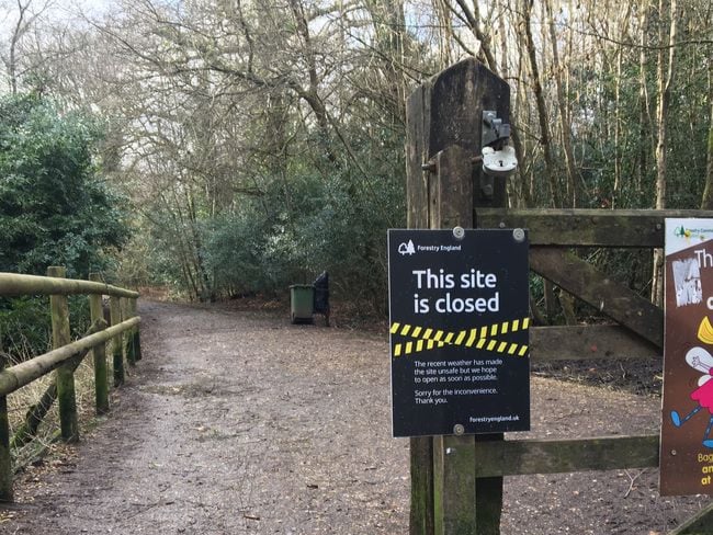 Alice Holt Forest was closed because of Storm Eunice on Friday