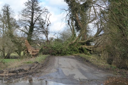 Surrey and Hampshire surveys the damage left behind by Storm Eunice