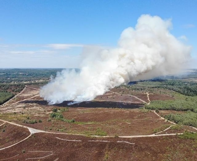 Bonfires not barbecues to blame for wildfire epidemic, says fire chief