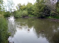 Kings Pond in Alton will not be debated before September