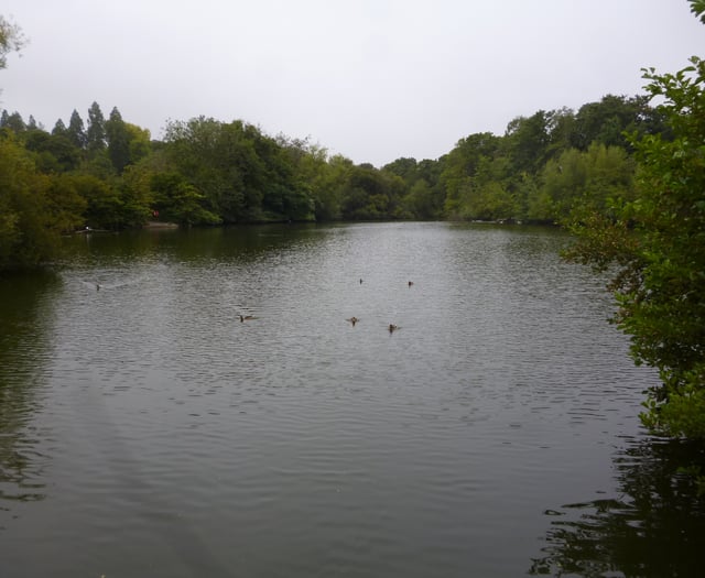 Claim of ‘witch hunt’ over Kings Pond in Alton