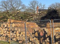 Trees felled to make way for 350 houses in Bordon