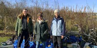 Petersfield Climate Action Network’s fruit tree scheme is blossoming