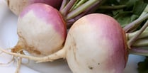 Opinion: Was Baldrick right all along, should we all just eat turnips?