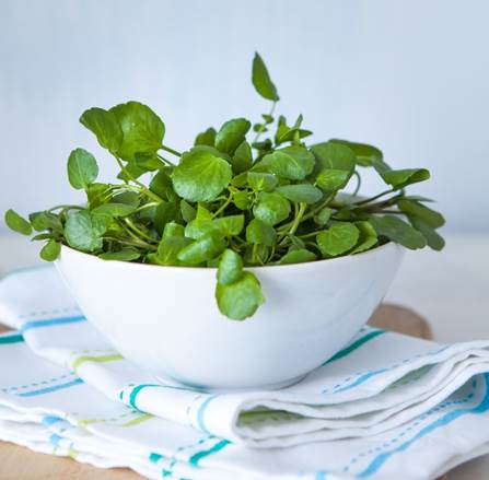 Watercress: The tough little leaf topping up UK’s salad bowl