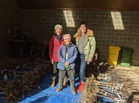 A hundred fruit trees planted in Alton gardens 