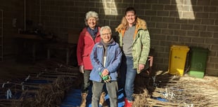 A hundred fruit trees planted in Alton gardens 