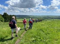 Ramble through Austen country at this year's Alton Walking Festival