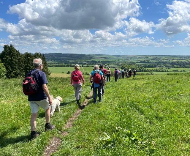 Walk Alton: walking festival preparations