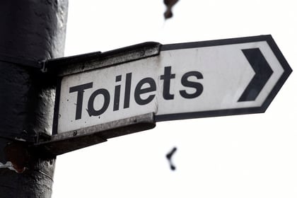 Toilet map shows fewer than two dozen accessible toilets in Waverley