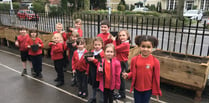 Planting a hedge will clean the air at Alton Infant School