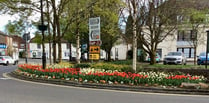 Hands off our flowers: Liphook villagers object to roundabout plans