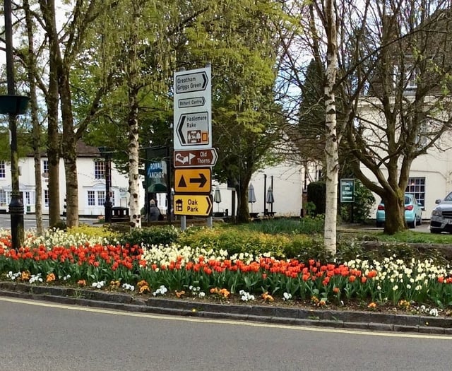 Hands off our flowers: Liphook villagers object to roundabout plans