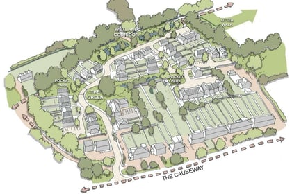 Plans come forward for 55 homes on greenfield site in Petersfield