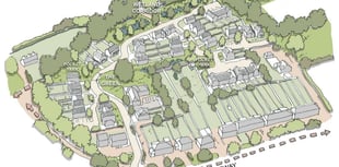 Plans come forward for 55 homes on greenfield site in Petersfield