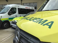 Police investigating crash involving ambulance near Jalsa Salana site