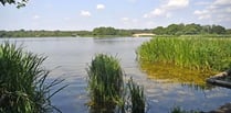 'Extremely dangerous' algae could close Frensham Pond until November