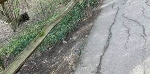 Mile-long Farnham Park footpath to be repaired and restored next month