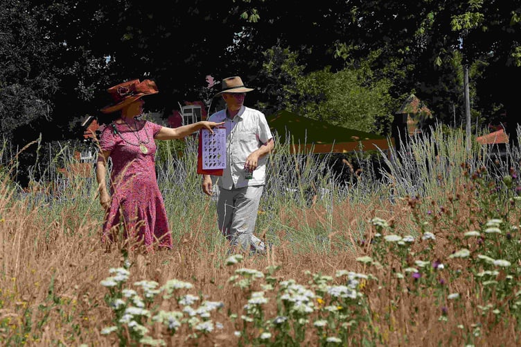 The Big Butterfly Count will launch on July 1