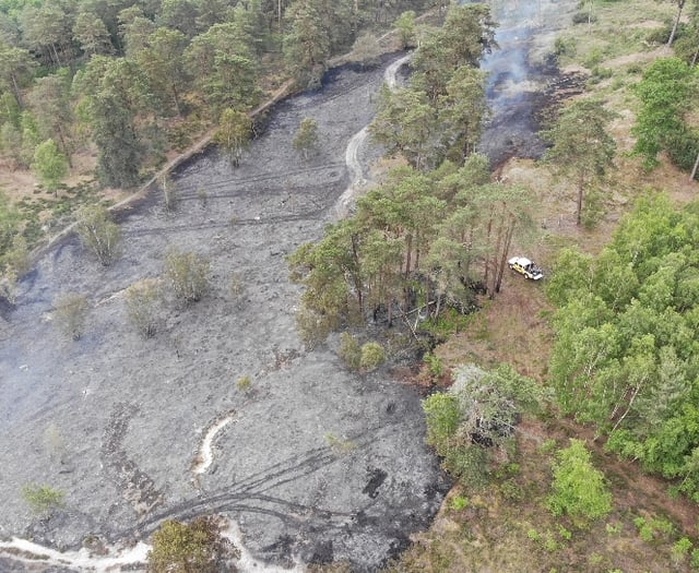 Frensham fire: Firefighters tell walkers to stay away from burnt heath