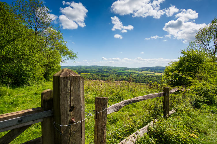 The Surrey Hills AONB spans 163 square miles, around a quarter of the land area of the county. It was designated in 1958 and adjoins the Kent Downs AONB to the east and the South Downs National Park in the south west.