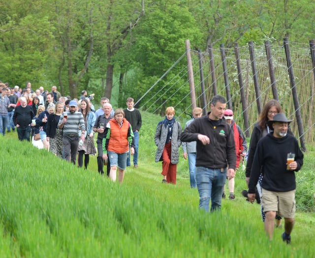 Hogs Back ‘beats the bounds' at hop blessing – but no head banging!