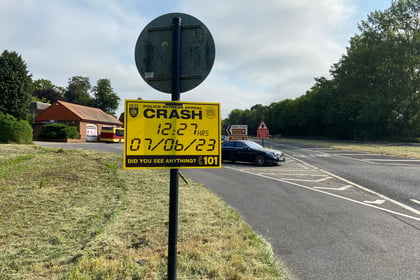 Road safety debate goes on after Froyle A31 crash – but grass is cut