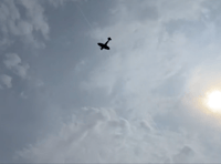 Video: Spitfire and RAF helicopter fly-past opens 50th Frensham Fayre