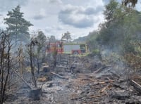 Hampshire firefighters warn people not to barbecue on heathland