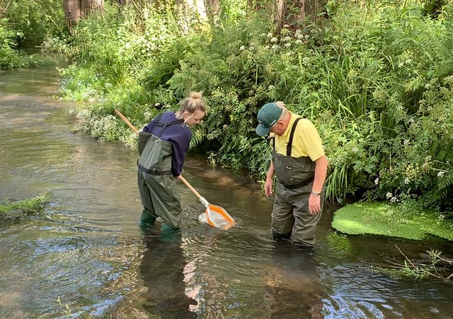 ‘Kick sampling’ the health of the invertebrate population