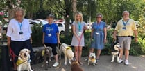 Pets as Therapy dogs win national top spot for their volunteering