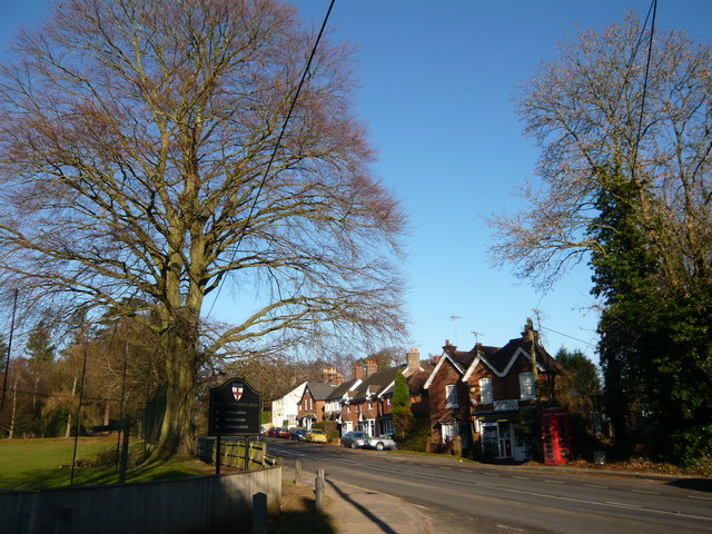 The village of Wormley is to be incorporated into Waverley Western Villages to improve election equality