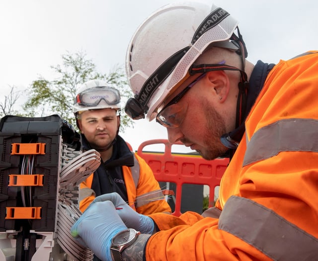 Rural Waverley "being neglected" as council calls for broadband help