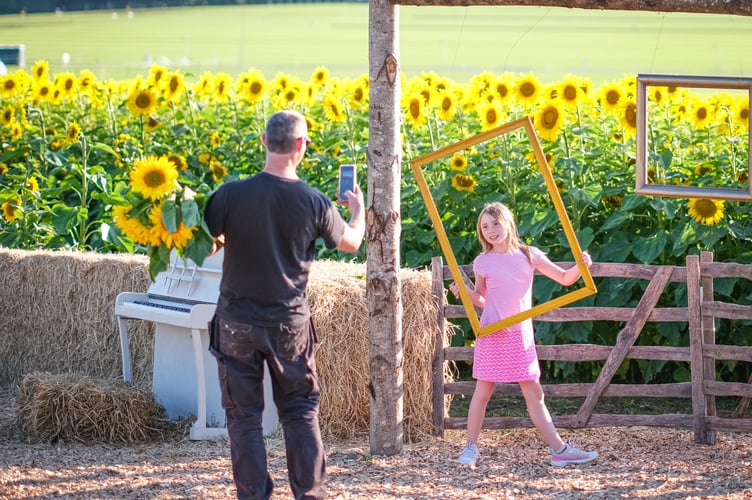 Cowdray Maize Maze