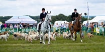 Join a celebration of Hampshire's countryside and sports