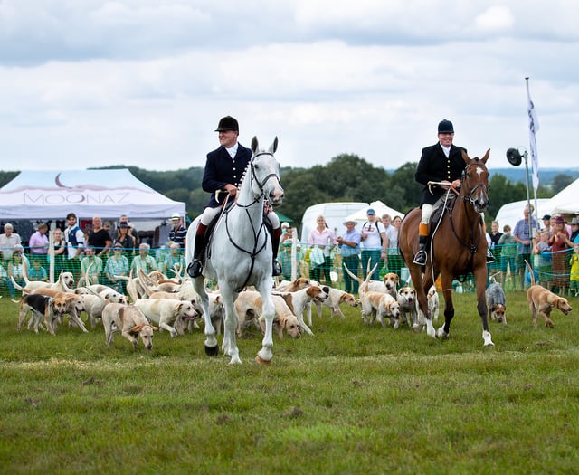 Join a celebration of Hampshire's countryside and sports