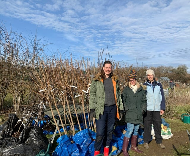 Petersfield climate action group launches discounted fruit free sale